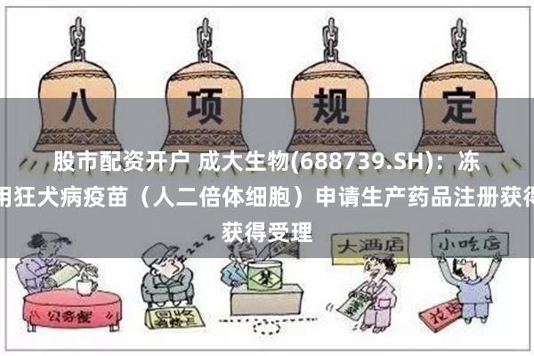 股市配资开户 成大生物(688739.SH)：冻干人用狂犬病疫苗（人二倍体细胞）申请生产药品注册获得受理