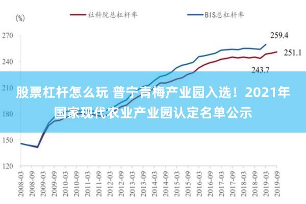 股票杠杆怎么玩 普宁青梅产业园入选！2021年国家现代农业产业园认定名单公示