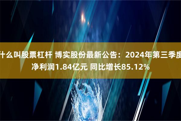 什么叫股票杠杆 博实股份最新公告：2024年第三季度净利润1.84亿元 同比增长85.12%