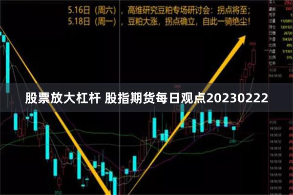 股票放大杠杆 股指期货每日观点20230222