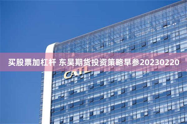 买股票加杠杆 东吴期货投资策略早参20230220