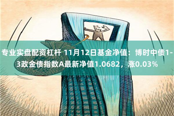 专业实盘配资杠杆 11月12日基金净值：博时中债1-3政金债指数A最新净值1.0682，涨0.03%