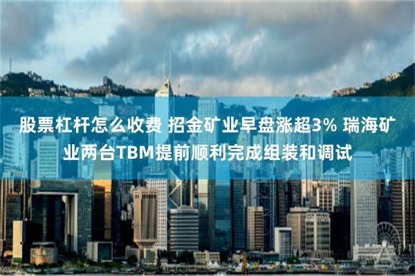 股票杠杆怎么收费 招金矿业早盘涨超3% 瑞海矿业两台TBM提前顺利完成组装和调试